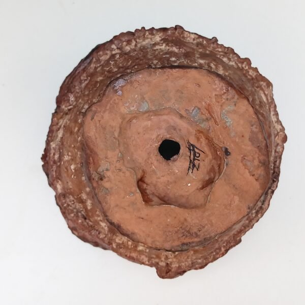 pot rond pour plante grasse et caudex – Image 7