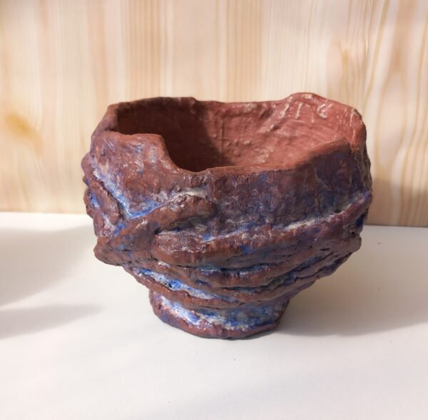 pot pour cactus, succulente, caudex – Image 9