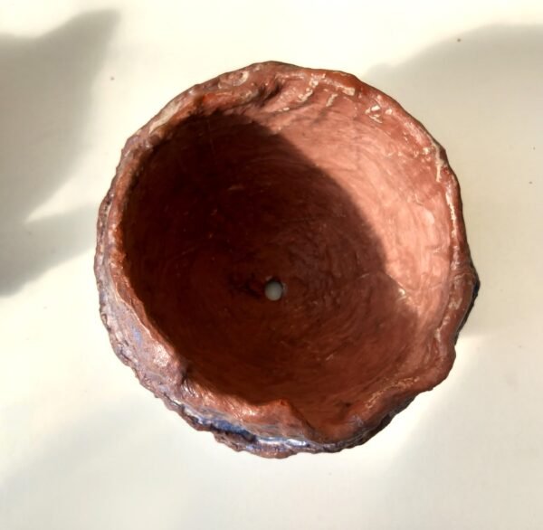 pot pour cactus, succulente, caudex – Image 5