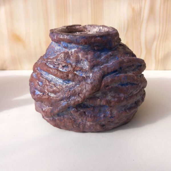 pot pour cactus, succulente, caudex – Image 3