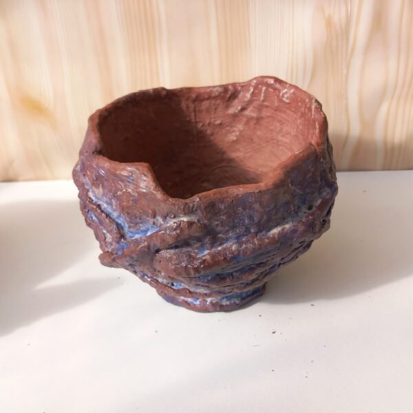 pot pour cactus, succulente, caudex