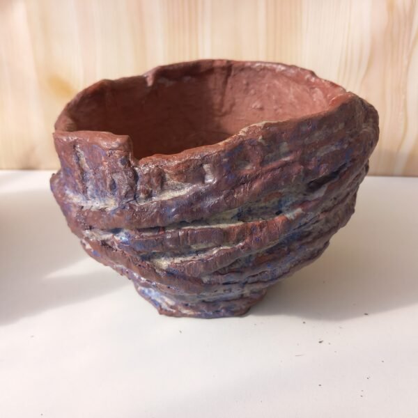 pot pour cactus, succulente, caudex – Image 11