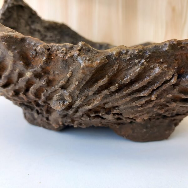 pot Bonsaï texturé – Image 11
