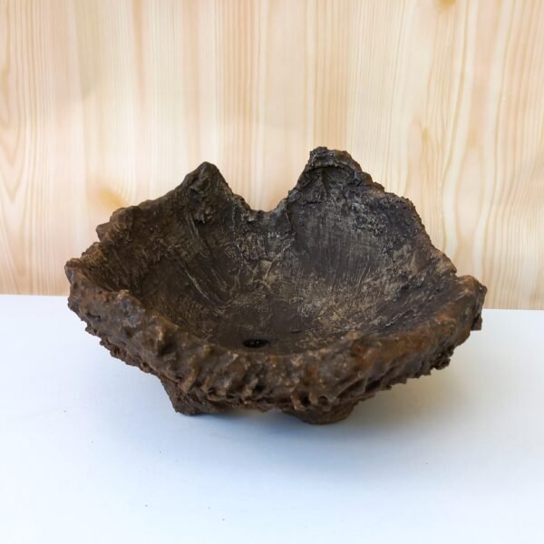 pot Bonsaï texturé – Image 6