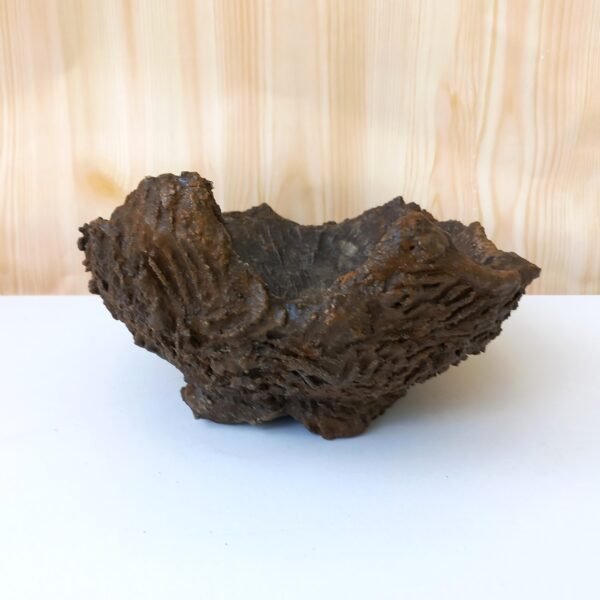 pot Bonsaï texturé – Image 4