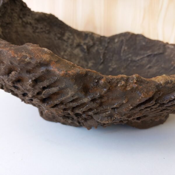 pot Bonsaï texturé – Image 10