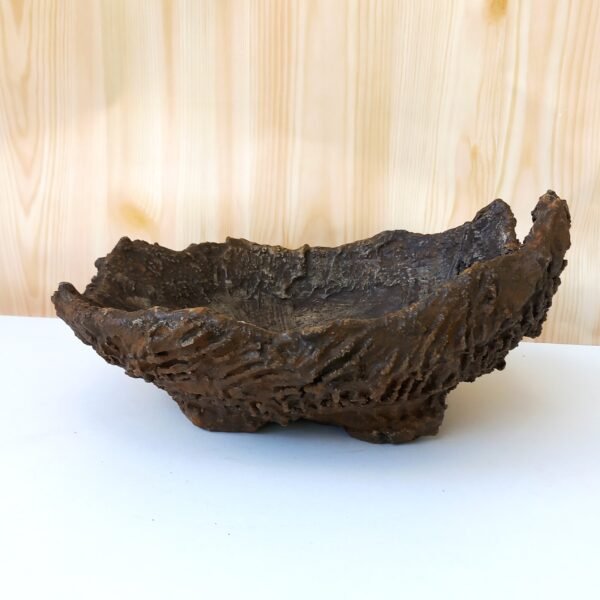 pot Bonsaï texturé – Image 3