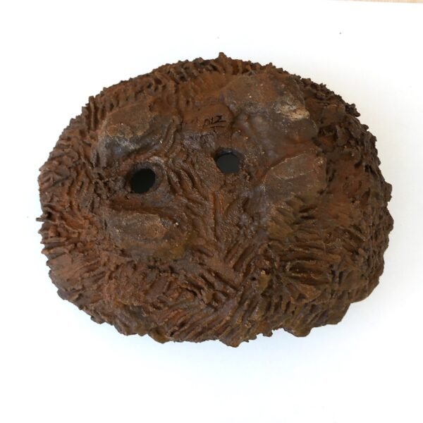 pot Bonsaï texturé – Image 9