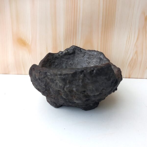 pot Bonsaï mame ou plante  caudex – Image 5