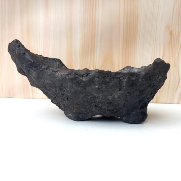 pot Bonsaï mame ou plante  caudex