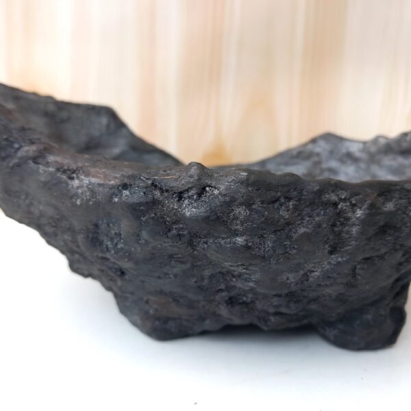 pot Bonsaï mame ou plante  caudex – Image 11