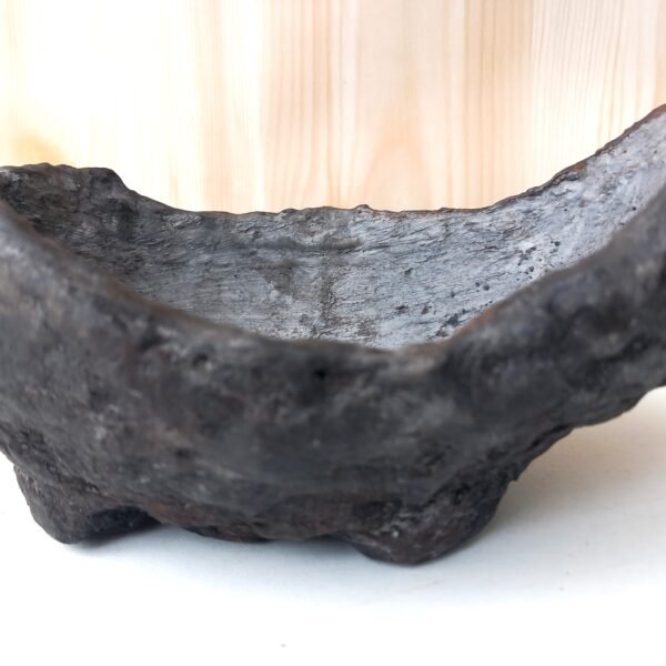 pot Bonsaï mame ou plante  caudex – Image 10