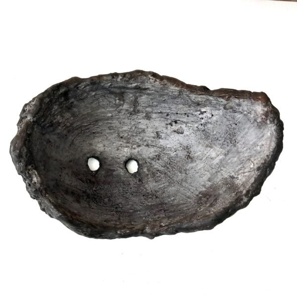 pot Bonsaï mame ou plante  caudex – Image 7