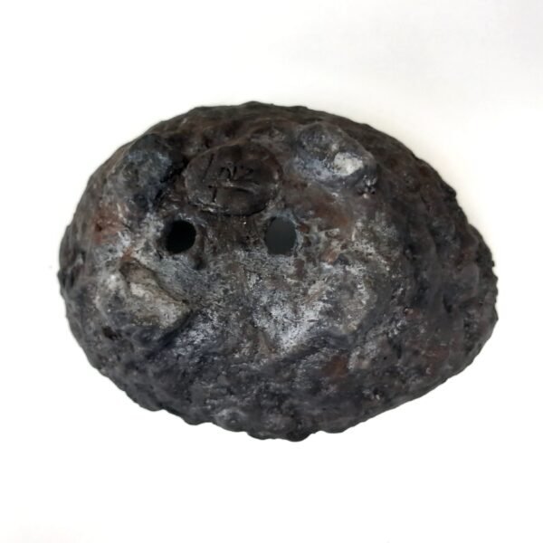 pot Bonsaï mame ou plante  caudex – Image 9