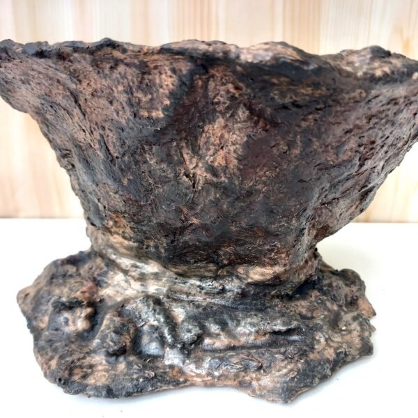 pot pour plante à caudex cactus succulente – Image 9
