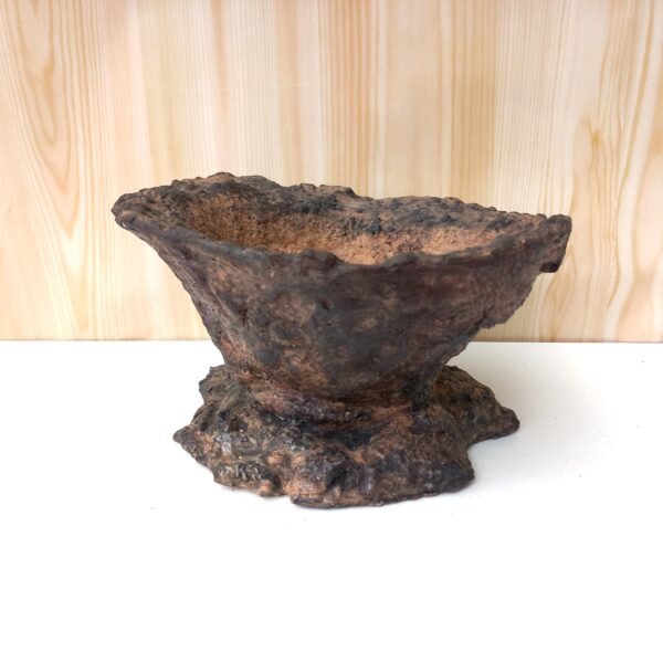 pot pour plante à caudex cactus succulente