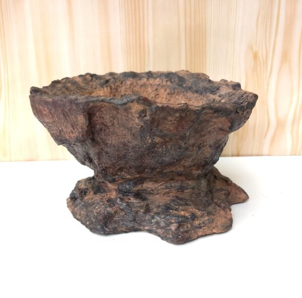 pot pour plante à caudex cactus succulente – Image 7