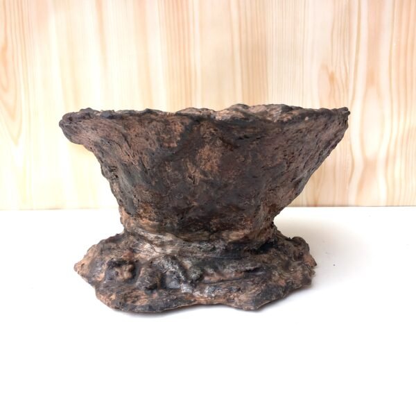 pot pour plante à caudex cactus succulente – Image 11