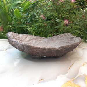 pot Bonsaï bas allongé aspect rocher