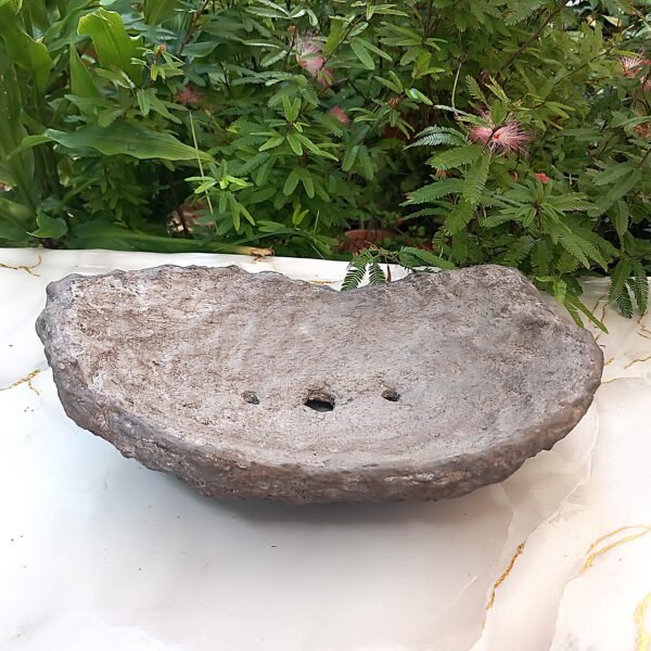 pot Bonsaï bas allongé aspect rocher – Image 7