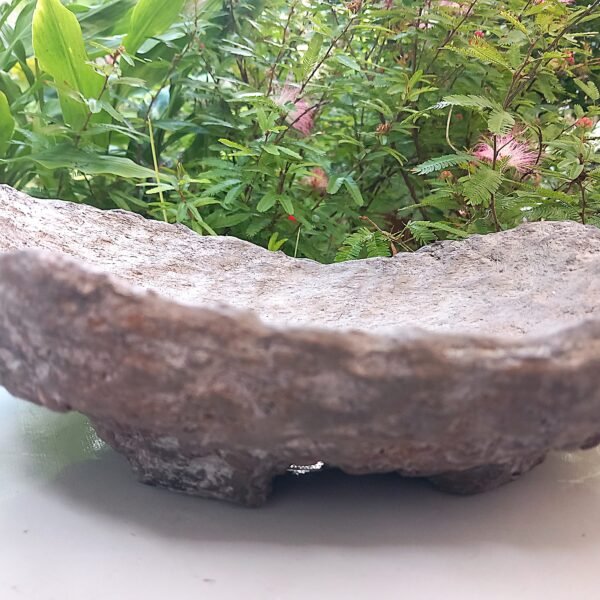 pot Bonsaï bas allongé aspect rocher – Image 11