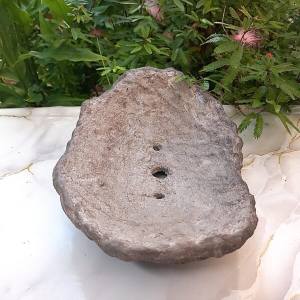 pot Bonsaï bas allongé aspect rocher – Image 10