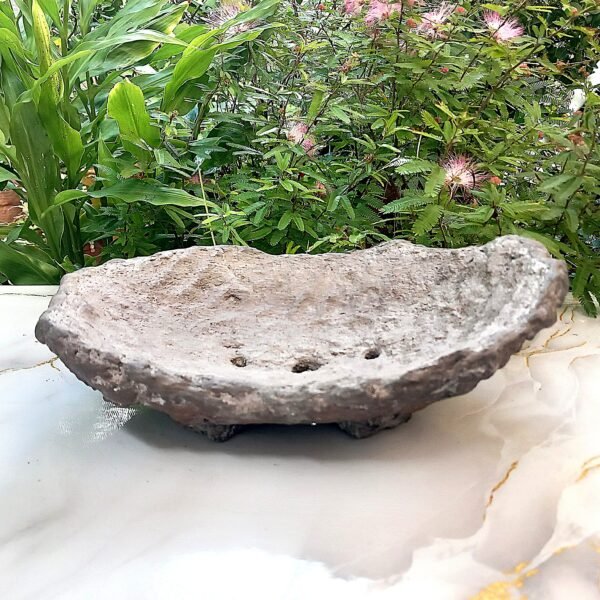 pot Bonsaï bas allongé aspect rocher – Image 2