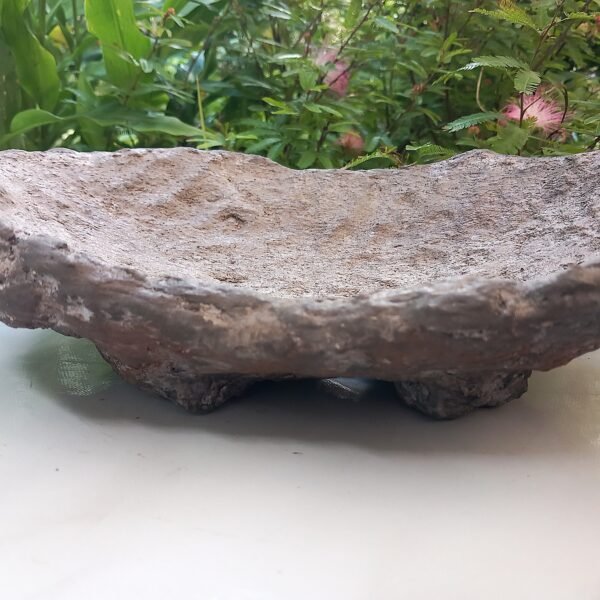 pot Bonsaï bas allongé aspect rocher – Image 3