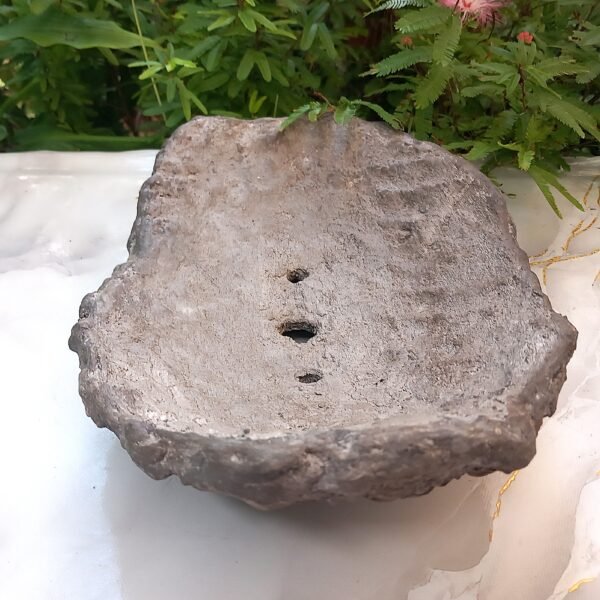 pot Bonsaï bas allongé aspect rocher – Image 4