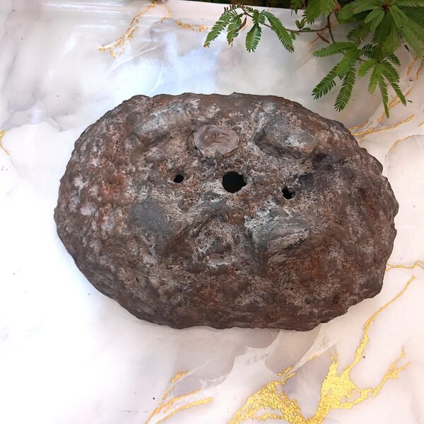pot Bonsaï bas allongé aspect rocher – Image 6