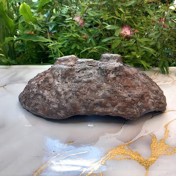 pot Bonsaï bas allongé aspect rocher – Image 9