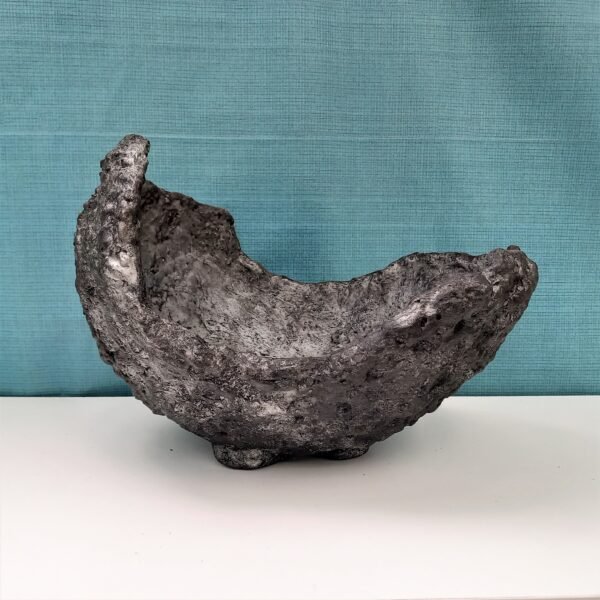 pot coquille pour cactus – Image 2
