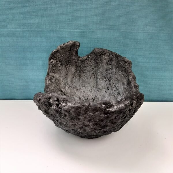 pot coquille pour cactus – Image 5