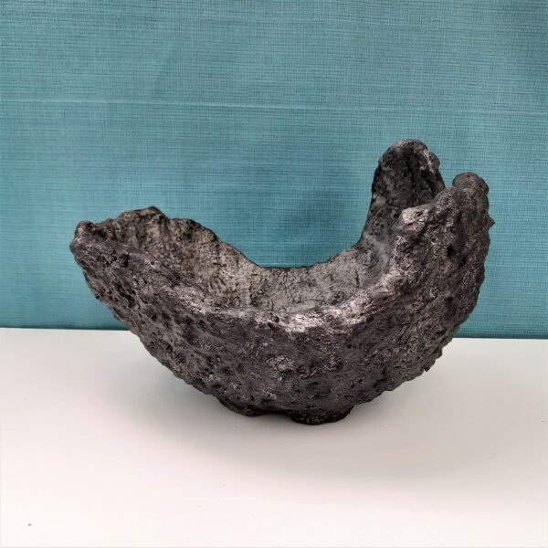 pot coquille pour cactus – Image 3