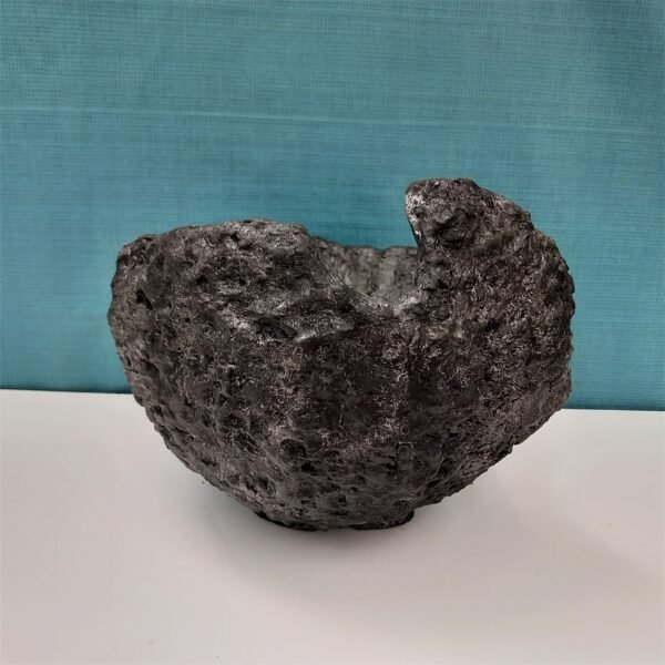 pot coquille pour cactus – Image 4