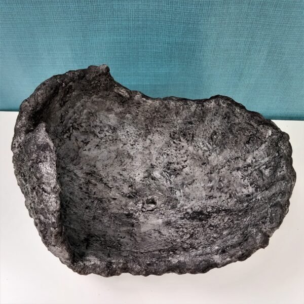 pot coquille pour cactus – Image 6