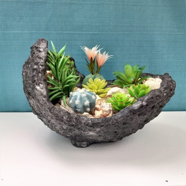 pot coquille pour cactus