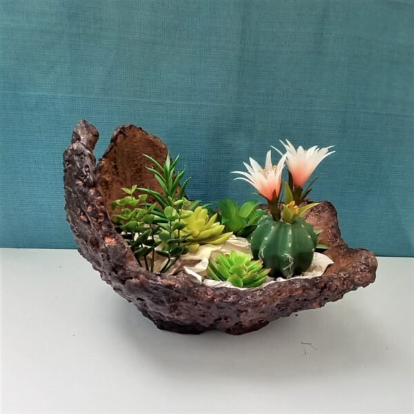 pot succulente forme coquille – Image 11