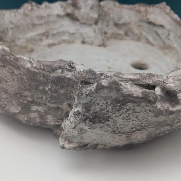 pot Bonsaï ovale aspect pierre – Image 10