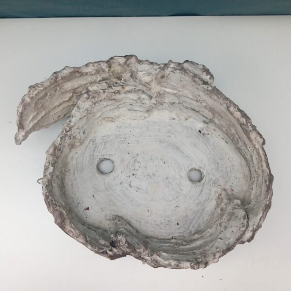 pot Bonsaï ovale aspect pierre – Image 7