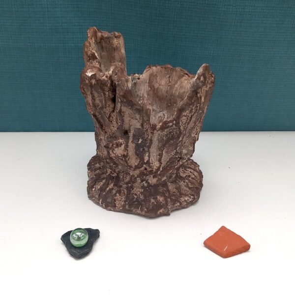 pot pour cactus , succulente, caudex – Image 3