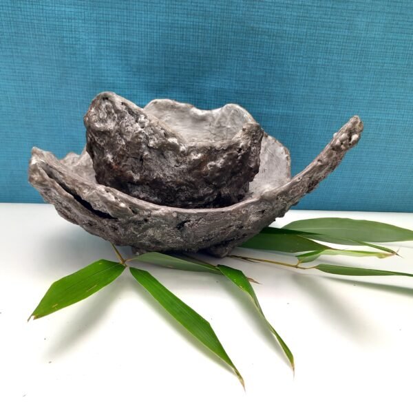 pot pour plante avec soucoupe