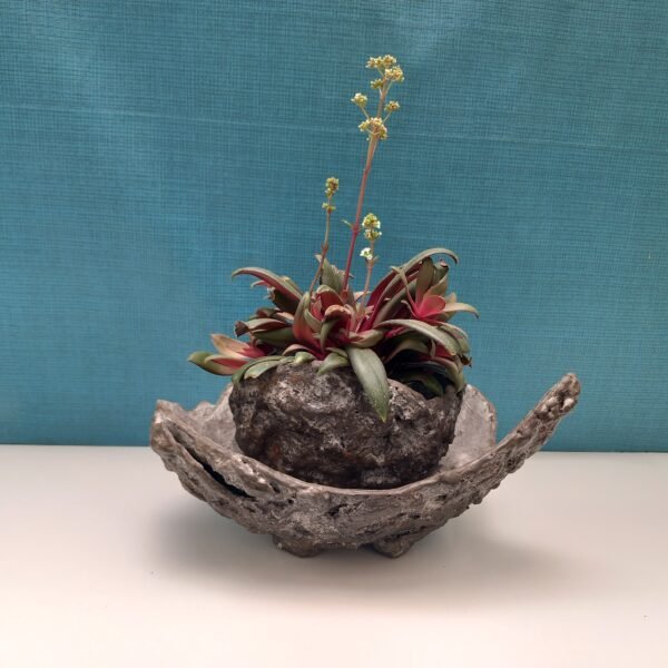 pot pour plante avec soucoupe – Image 11