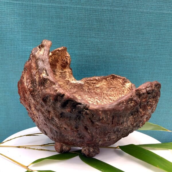 pot pour Cactus, pot pour succulente, pot pour Caudex