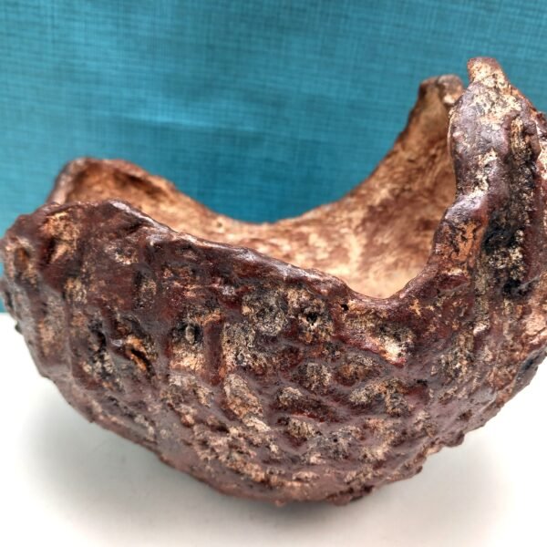 pot pour Cactus, pot pour succulente, pot pour Caudex – Image 6