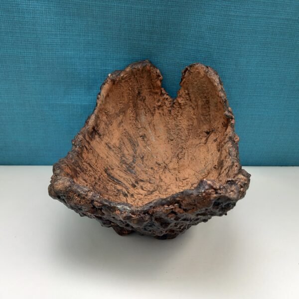 pot succulente forme coquille – Image 6