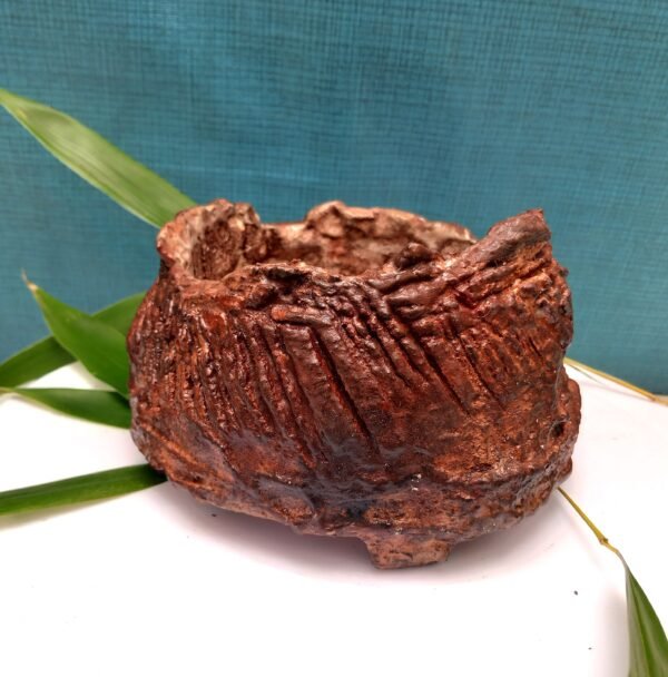 pot cactus, pot succulente, pot caudex – Image 3