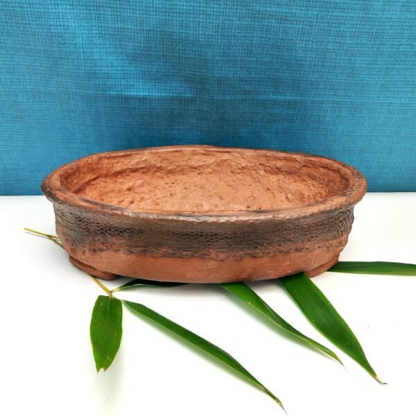 pot Bonsaï ovale couleur terre cuite – Image 2