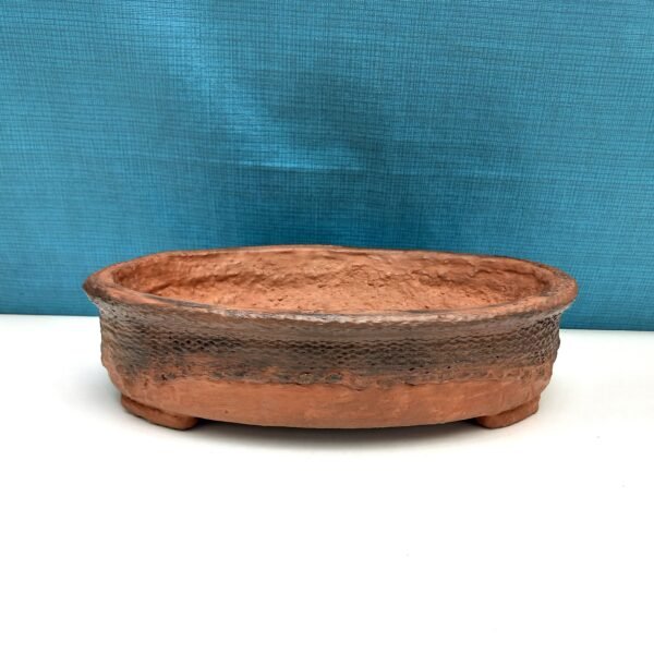 pot Bonsaï ovale couleur terre cuite – Image 4