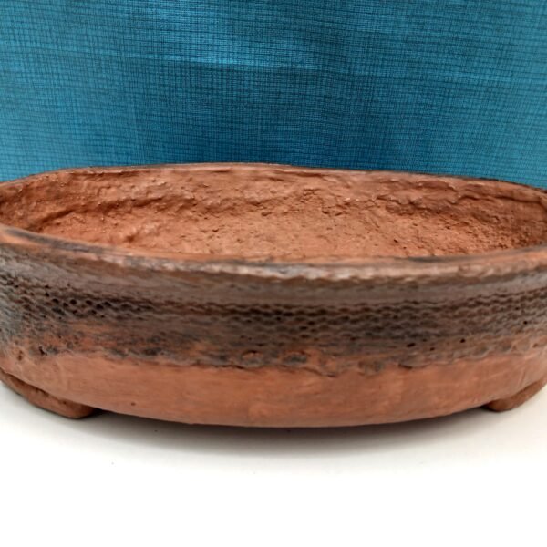 pot Bonsaï ovale couleur terre cuite – Image 9